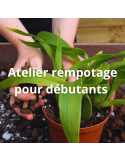 Atelier rempotage