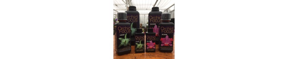 La Canopée a choisi pour vous Orchid Focus, l'un des meilleurs engrais actuellement sur le marché.