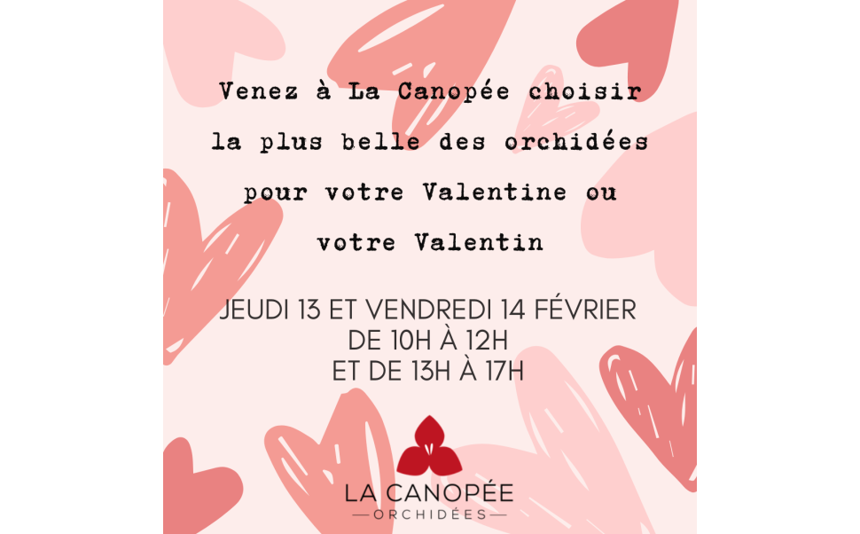 Saint Valentin 