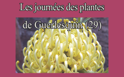 Journées des plantes de Guerlesquin 2024